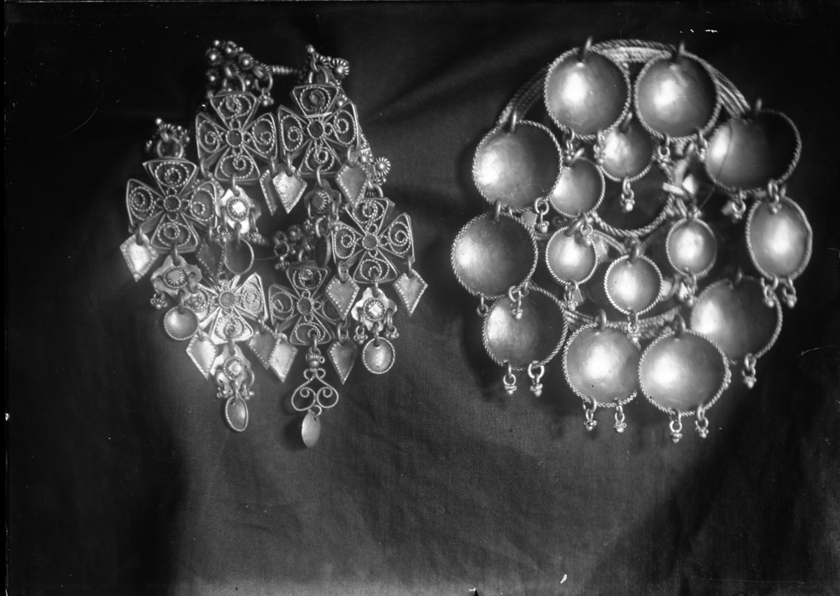 Rikard Berges fotoarkiv. Søljer. Til høyre: lauvsølje. Hjartdal, Telemark. Fotografert 1910.
Bilde nr. 129.

Fotografier tatt av Rikard Berge. 642 nummer. Samlingen består av negativer bladfilm. Motivene er ført inn i egen protokoll av Berge. Protokollen har tittel "Bilæt-emne"