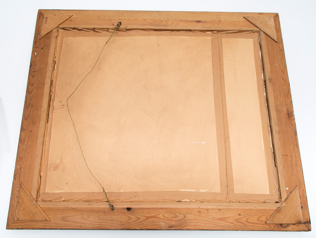 Fotografi i glass og brun ramme, rektangulær. Foto ovalt. Viser Roald Amundsens mor.
