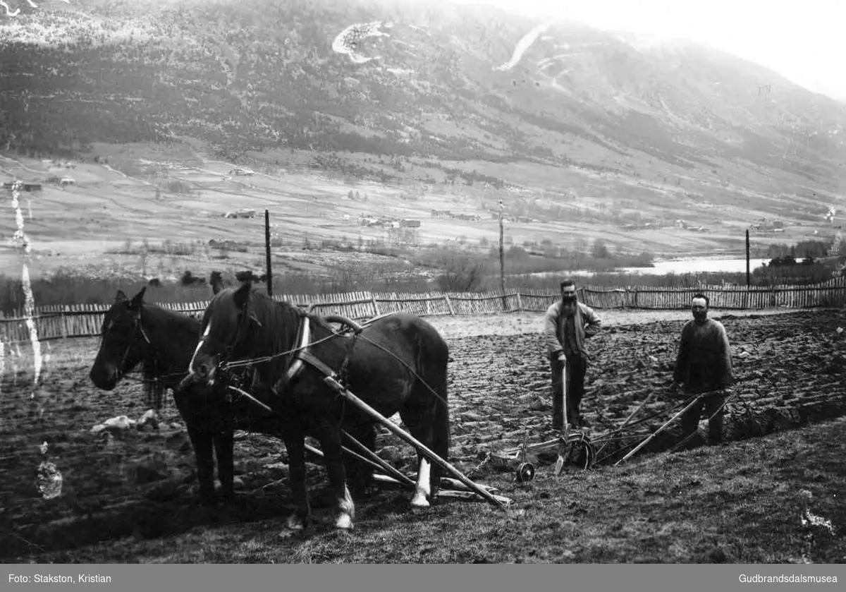 Lars Viken (f. 1857) og Oluf Haugen (f. 1895) i våronn med 2 hestar framfor plogen