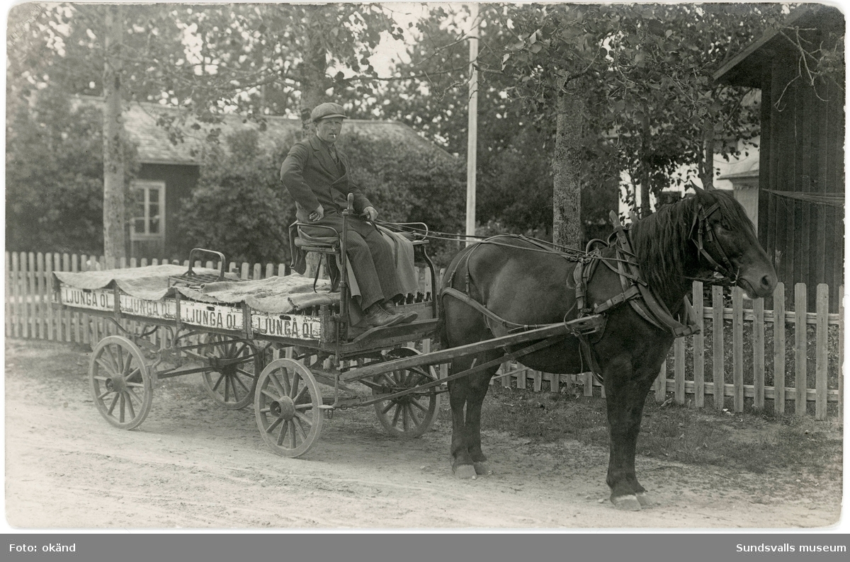 Hästdragen bryggerikärra från Ljungå bryggeri med kusken Alfred Jakobsson. Hästen heter Balder. Ljungå ölbryggeri startade sin verksamhet 1889 i Svartvik. Privattaget vykort.