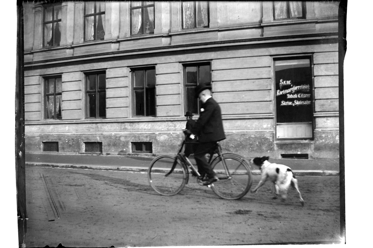 Syklist med hund i ukjent bygate.