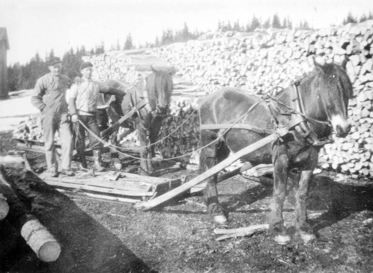Repro: Tømmertransport/tømmeropplag. Hest med slede.