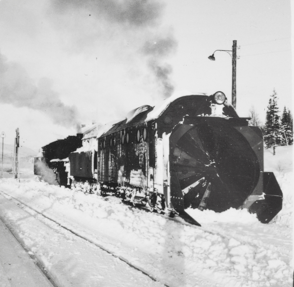 Snøryddingstog på Nordlandsbanen. Nærmest roterende snøplog type III, bak damplokomotiv type 33c nr. 396.
