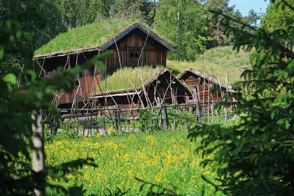 Tun fra Setesdal, Norsk Folkemuseum. Foto: Astrid Santa, Norsk Folkemuseum.