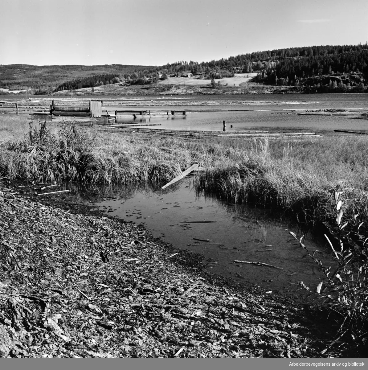 Maridalen: Maridalsvannet: Løvenskiold-Vækerøs sagbruk..Reportasje om drikkevanns-forurensing. September 1961