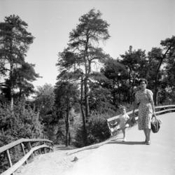 Kværnerdalen. Juni 1955