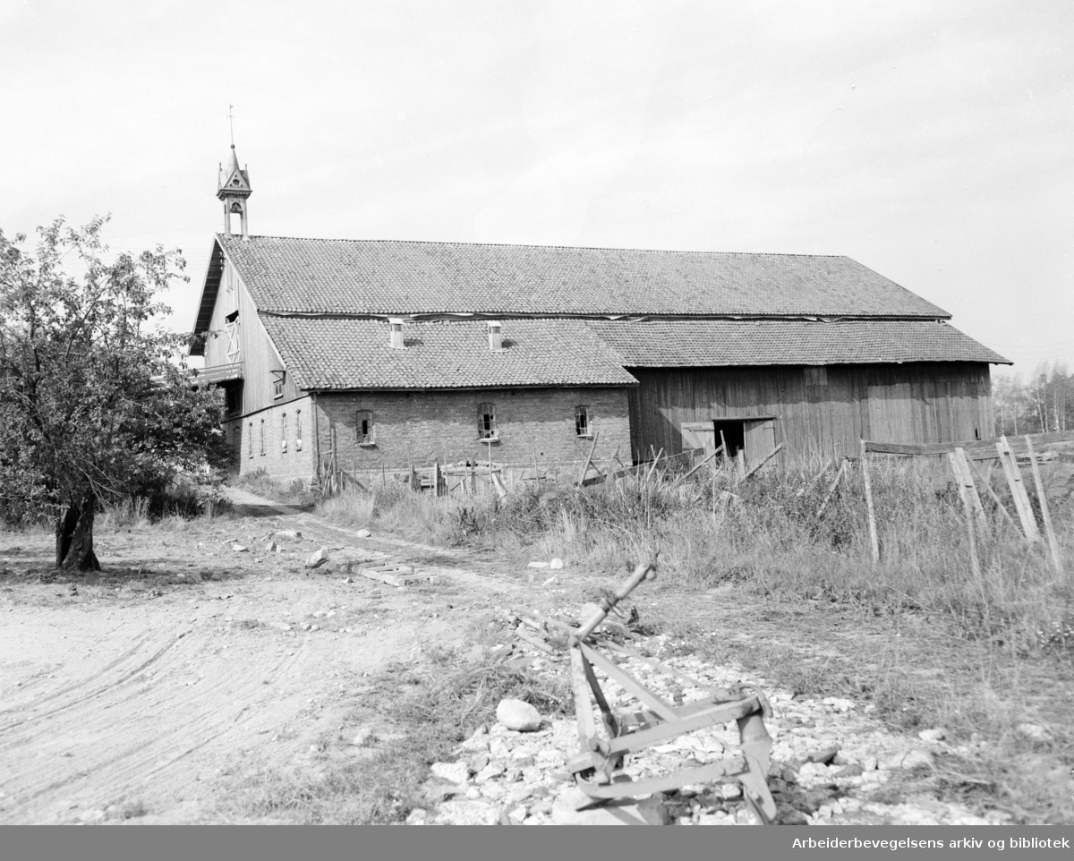Lambertseter gård. August 1955