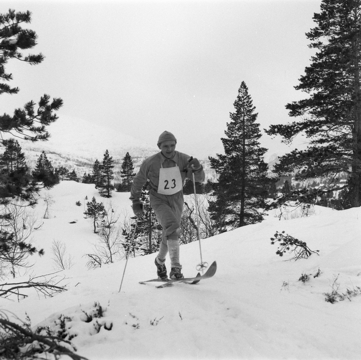 Skiløpar med startnummer i fart opp ei kneik.
