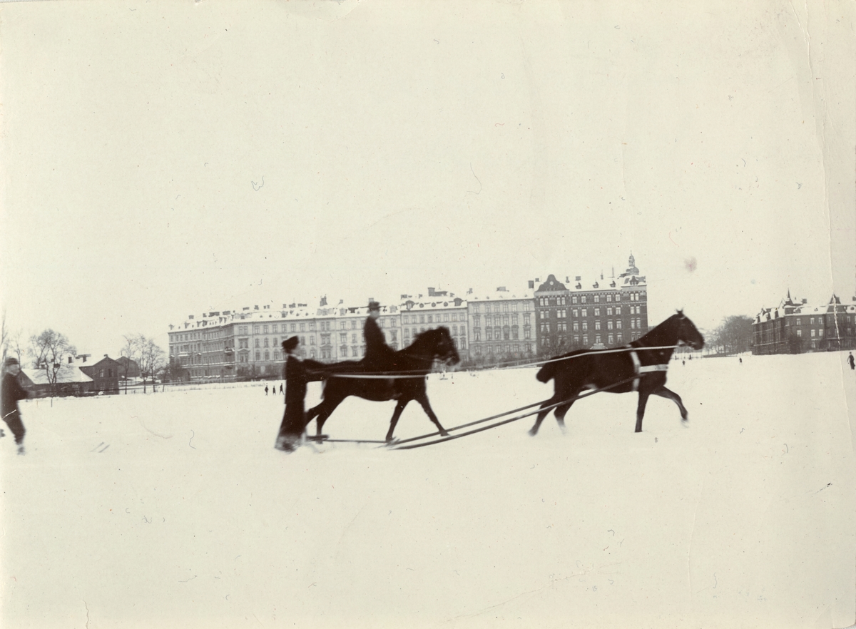 Hästtolkning i snön, Norrbotten omkring 1910.