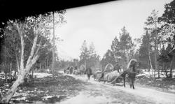 «Fra Lulleskogen. Den finske transport av krigsmateriell.»
