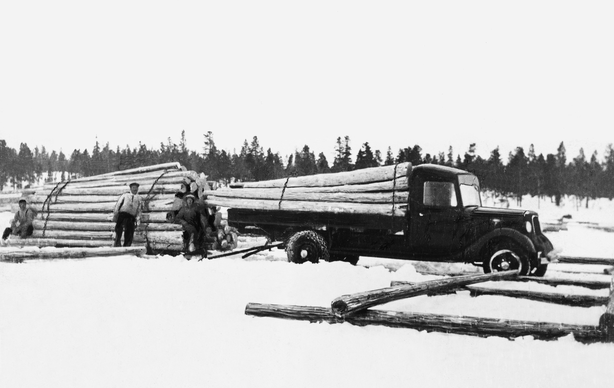 Tømmerkjøring med lastebil i Femundsområdet i 1936.  Bildet later til å være tatt på isen på en sjø.  Lastebilen var en Ford V8 1935-modell. Den hadde barket tømmer på lasteplanet.  Bak bilen var det hengt en slede som var påmontert et for sin tid enormt tømmerlass. Ifølge en skriftlig kommentar skal det ha vært 15 kubikkmeter tømmer på denne transporten, noe som var imponerende med den tids lastebilteknologi. Tre karer, som antakelig hadde utført opplastingsarbeidet, stod oppstilt ved sleden da dette fotografiet ble tatt.  Furudominert barskog i bakgrunnen.

Høsten 2023 fikk museet følgende kommentar til dette fotografiet fra Narve Fredheim: «Bildet er av min fars første lastebil. Min far, Kåre Fredheim, sitter fremst på kjelkelasset, og min bestefar, Nils Fredheim står fremst på lasset. Den bakerste personen kan jeg ikke se hvem er.»

Våren 2024 kom det supplerende informasjon fra Narve Fredheim: 
«Dette bildet er tatt på Femunden på vika vest for Femundtunet, rett ned for der Femundvika Motell sto. I denne vika ble det lagt "sulfat"
og "sulfit" som skulle fløtes nedover Klarälven til tremassefbrikkene  ved Karlstad. I vika øst for Femundtunet ble det lagt sagtømmer og svilletømmer som skulle fløtes til Gjøsviksaga på Røros.»