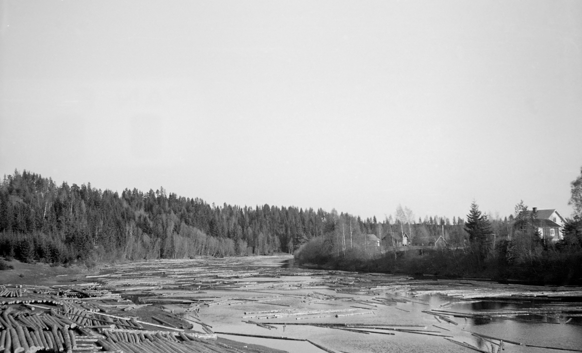 Tømmer på elva Flisa i Åsnes i Solør i 1953.  Bildet er tatt nedenfor Flisbrua.  På elvebredden til venstre lå det tømmer i flakvelter på en slak elvebredd.  Mye løstømmer fløt også på det stilleflytende vannspeilet utenfor.  På elvebredden til høyre ser vi bygningene på et gardsbruk.  Begynnelsen av 1950-åra var noe av en gullalder for fløtinga med mye tømmer i vassdragene.  I 1953, det året dette fotografiet ble tatt var det innmerket 2 288 484 stokker for fløting i Flisavassdraget.  13 207 av disse ble gjenliggende i eller ved vassdraget ved sesongens slutt.