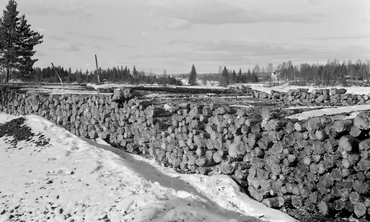 Tømmerlunner - såkalt «lunnevelte» - på Vesterenga i Elverum i 1964.  Dette var en av flere terminalplasser Glommen skogeierforening etablerte for å samle opp tømmer som ble barket og slått uti vassdraget maskinelt ved hjelp av digre griplastere når våren kom og vannføringa passet for tømmerfløting.  Dette er et vinteropptak.

Utislagsplassen og barkeanlegget på Vesterenga ble etablert av Glommen skogeierforening og satt i drift nettopp i 1964, da dette fotografiet ble tatt.  To år seinere ble plassen rammet av en storflom i Glomma, som skylte vekk flere tusen kubikkmeter ubarket og umerket tømmer.  Skogeierforeningen ble i ettertid saksøkt av en av tømmerleverandørene, som mente at de som drev terminalplassen hadde vist uaktsomhet.  Skogeieren fikk medhold i herredsretten, men i lagmannsretten var det skogeierforeningen som vant fram.  I 1966 ble det dessuten inngått en avtale mellom Glommen Cellulosetømmerkjøperes forening, skogeierforeningene for regionene som soknet til Glomma- og Mjøsvassdragene og Glomma fellesfløtingsforening om at det skulle installeres barkemaskiner på flere terminalplasser.  Teknisk konsulent Carl Fredrik Lindeman i Glommen skogeierforening mente at det burde etableres slike plasser med maksimum 25 kilometers innbyrdes avstand oppover langs Glomma.  Det ble etter hvert 42 terminalplasser med barkeanlegg.  De sparte skogsarbeiderne for den manuelle barkinga, som i streng vinterkulde kostet arbeiderne mye tid og krefter.  For skogeierne innebar bruken av terminalplasser for tømmer at de slapp floring og utislag.  Terminalplassene muliggjorde dermed rasjonalisering av så vel skogsarbeid som tømmertransport.
