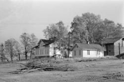 Furuset. Lindeberg gård blir 4-H-senter. Oktober 1975