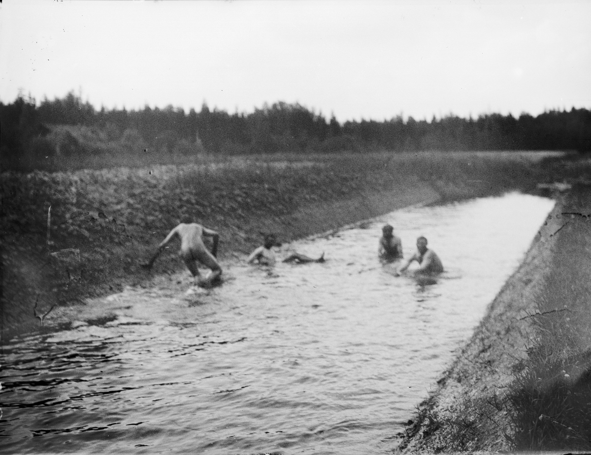 "Simmare i Ravastbobäcken", Simtuna socken, Uppland 1922