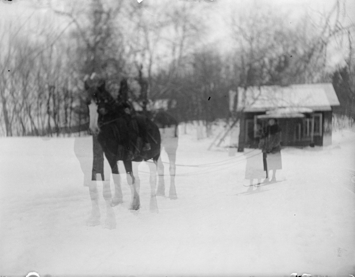 Dubbelexponering - "Fröken Nilson och Ebba Hagman på skidor efter häst vid Eklunda", Simtuna socken, Uppland 1924