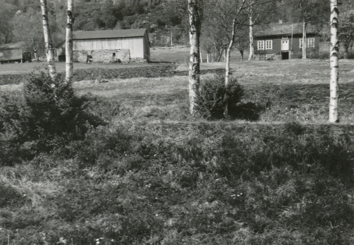 Prospektfotografier av et gardsanlegg på Rødsethatlen, Ålesund.