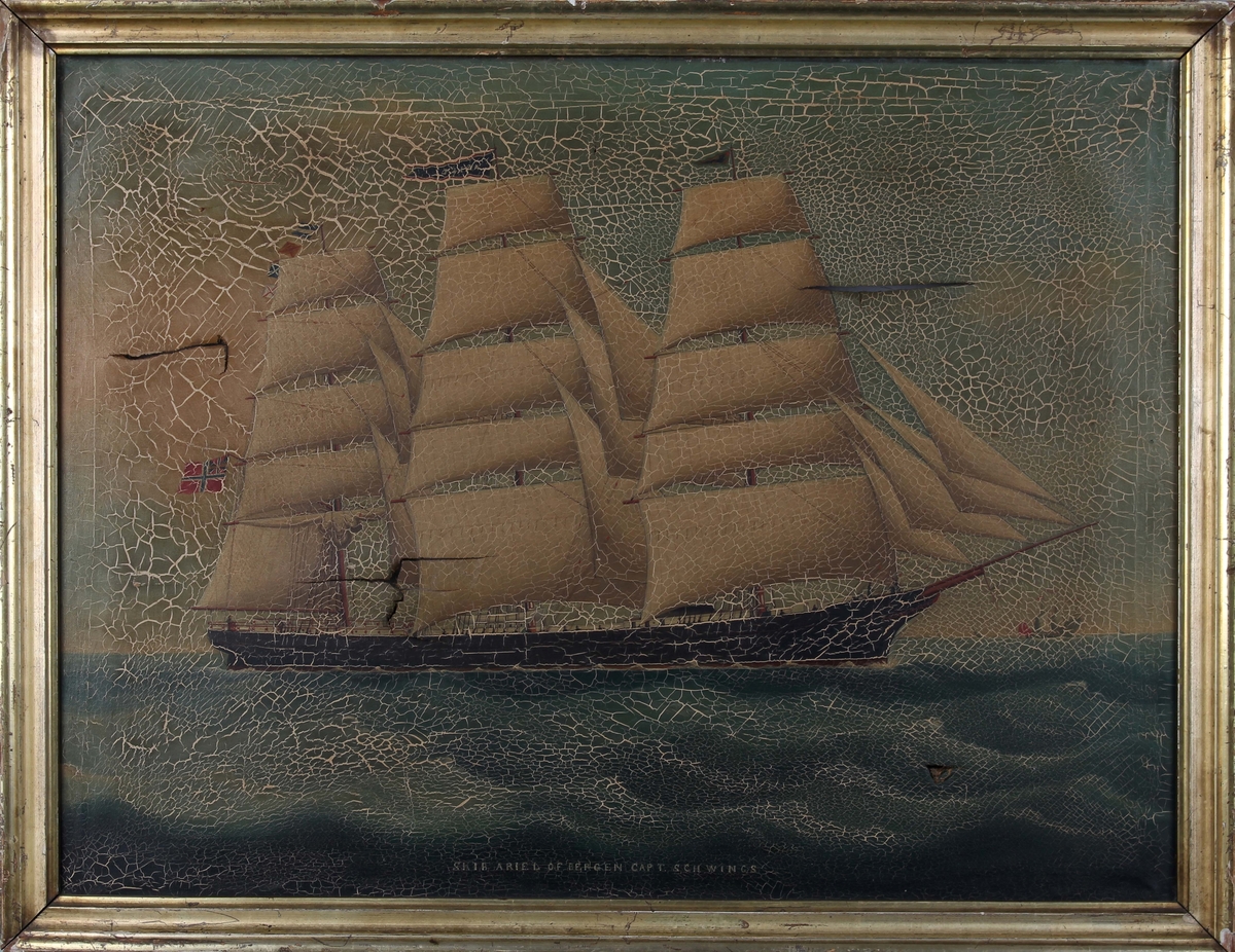 Skipsportrett av fullrigger ARIEL på åpen sjø med full seilføring, flagg med sildesalat i akter. Maleriet har store skader.