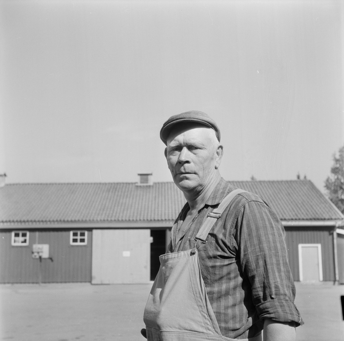 Skärplingebon Alvar Jansson pensioneras, Österlövsta socken, Uppland, juli 1971