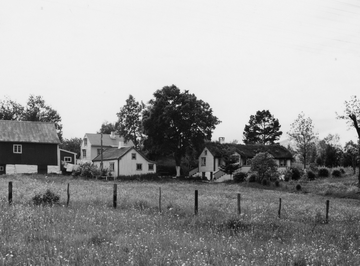 Prospektfotografi av garden Elvemyr, Nedregotten på Emblem.