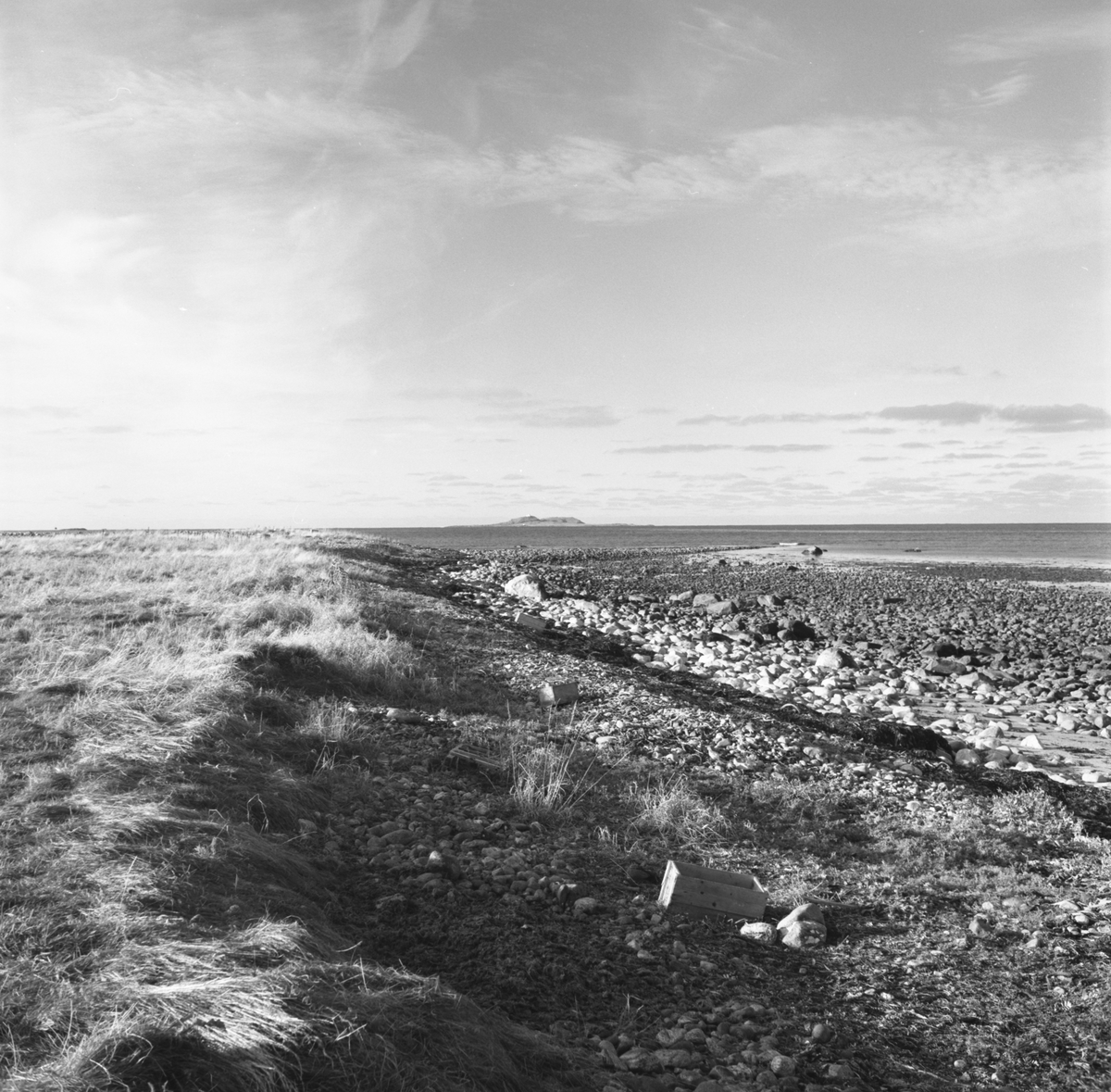 Landskapsbilder fra strandområdet ved Giskeøygarden.