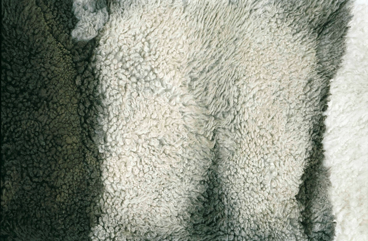 Fäll av vitt, grått och svart fårskinn, remsor av vitt långhårigt fårskinn, sk fällfrans, påsydd på skinnsidan vid kanterna.