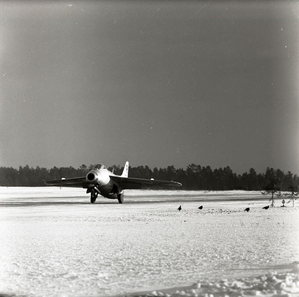 Ett startande flygplan av modell J29 Tunnan den 15 januari 1957 i Söderhamn. Runt startbanan finns några orrar.