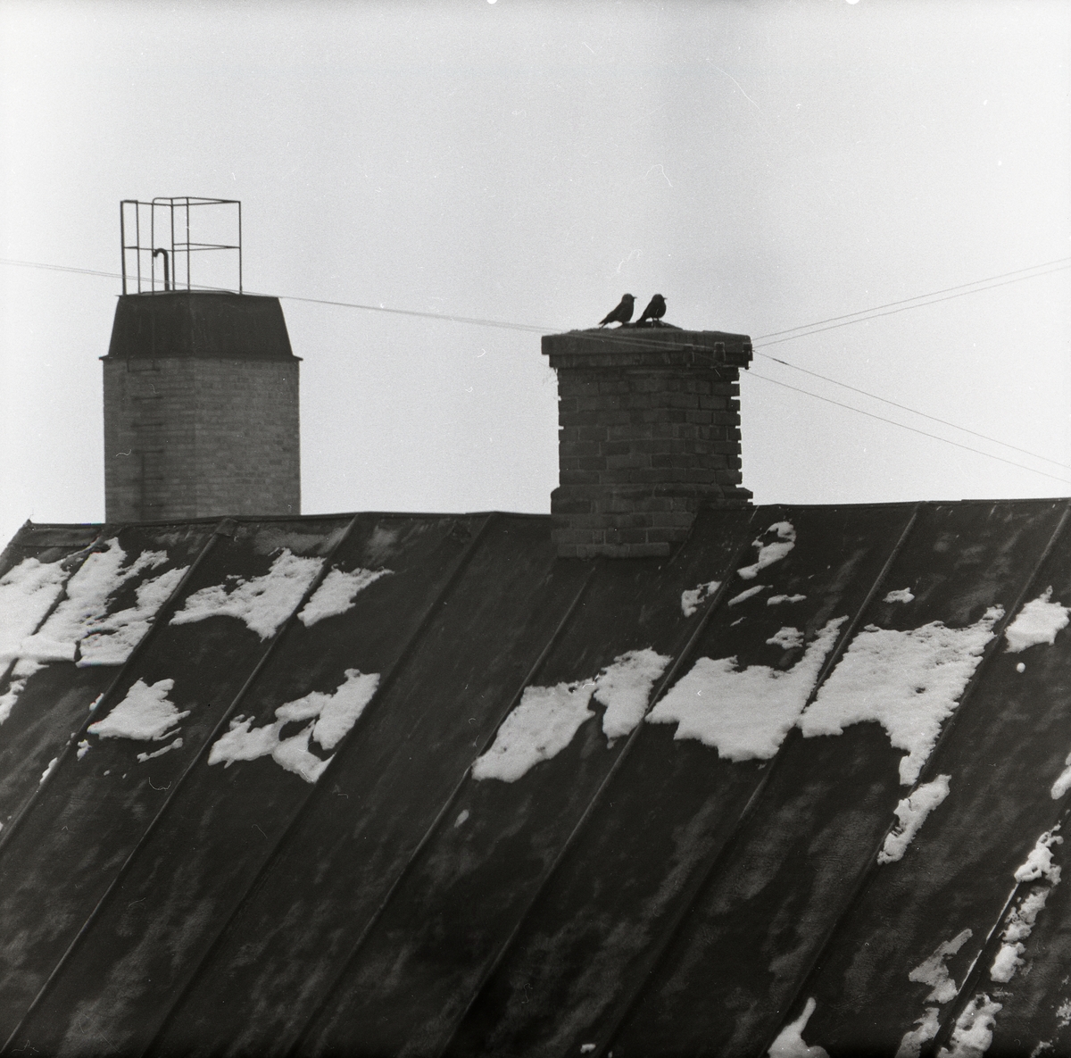 Två kajor sitter på en skorsten på ett hustak i Hallsberg 3 mars 1958.