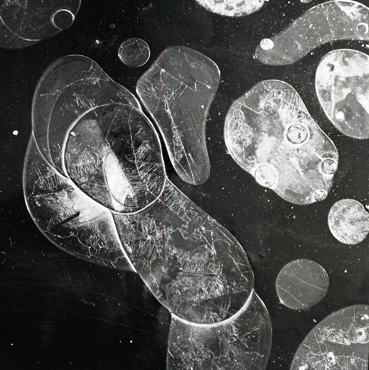 Luftbubblor fångade under is den 5 december 1958.
