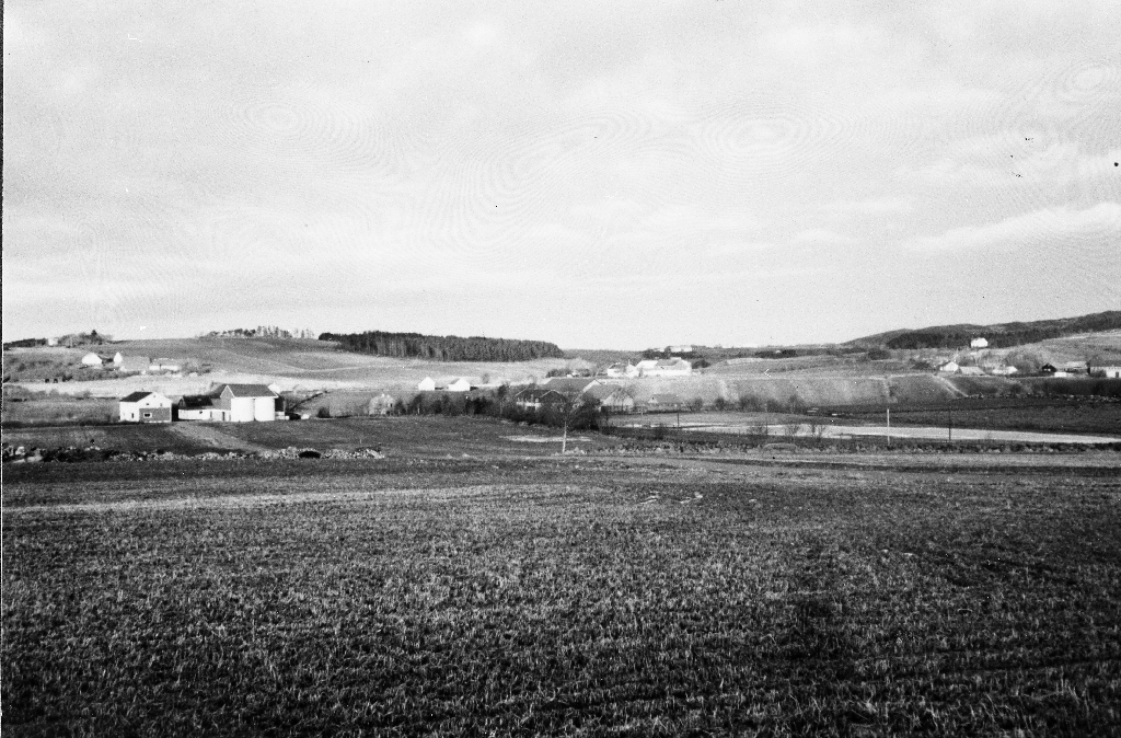Jul 1980 på Fosse Fosse bnr. 13 til venstre. Gamle Fossegarden til høgre, Oma store i bakgrunnen, Skrudland i bakgrunnen til høgre.