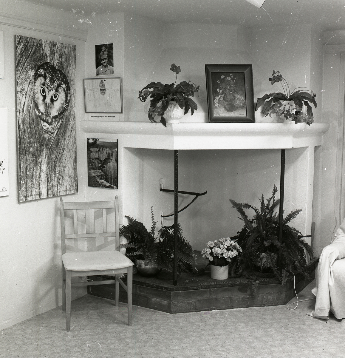 Ett rum med öppen spis, växter, stol och tavlor föreställande Hilding Mickelsson fotografier.