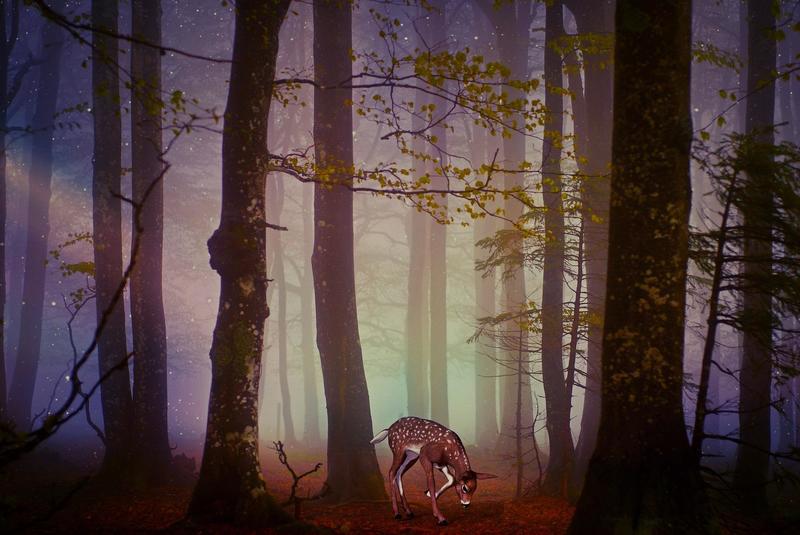 Illustrasjon av er rådyr i en mystisk skog