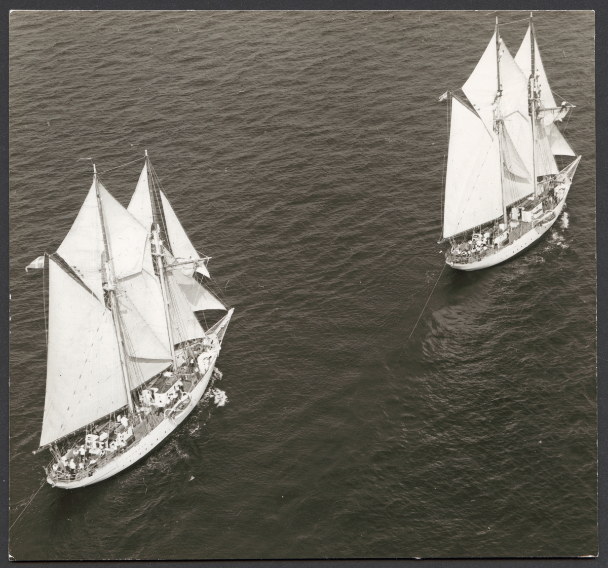 Flygbild av skolskeppen Gladan och Falken till havs. Båda fartyg har alla segel satt och gör måttlig fart.