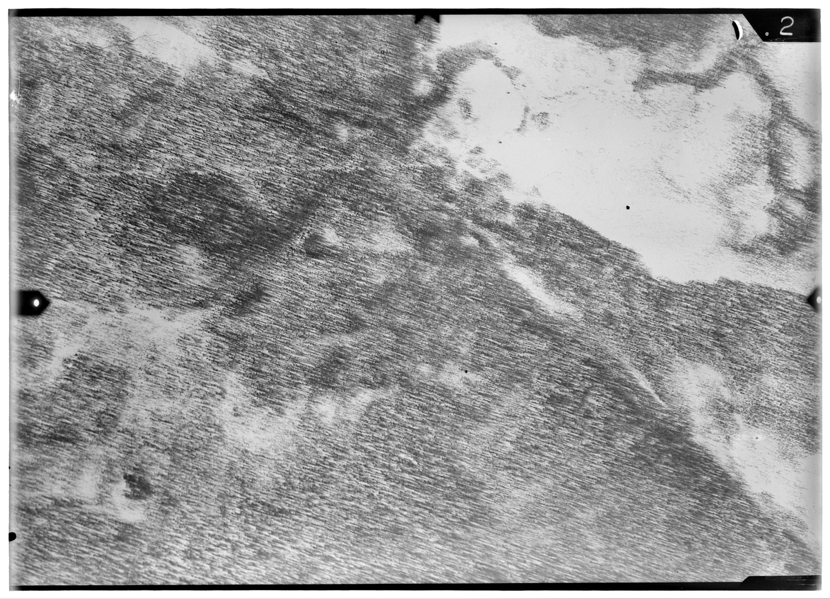 Flygfotografi av landskap kring Märkäjärvi i norra Finland under finska vinterkriget, 1940. Spaningsbild över skog tagen av flygare vid F 19, Svenska frivilligkåren i Finland.
