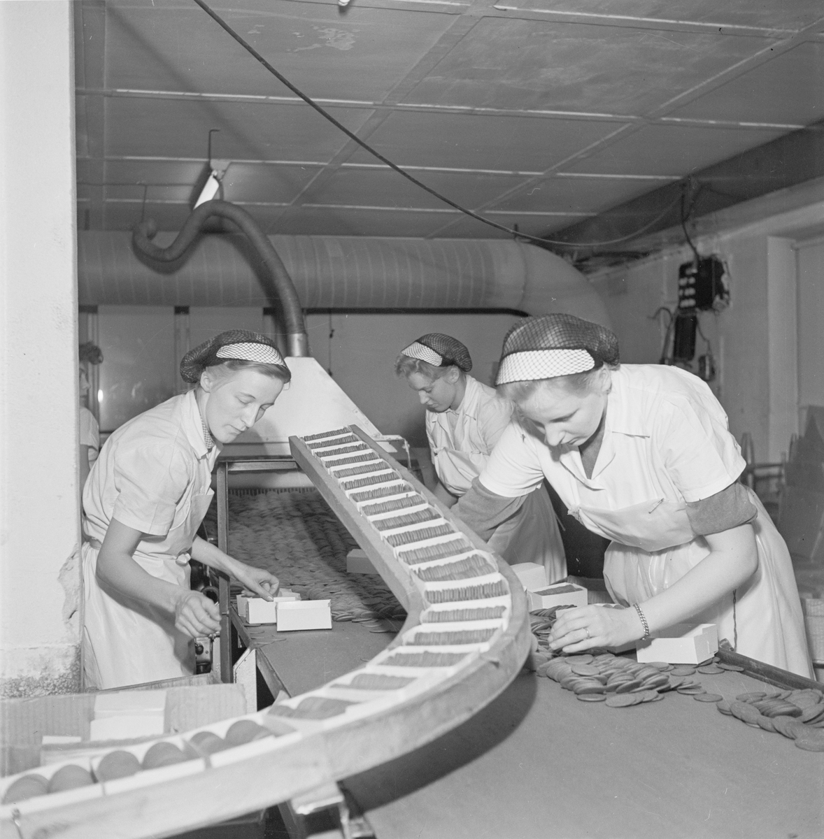 Personal packar pepparkakor i Pricks, fabriken, Tierp, Tolfta socken, Uppland 1953