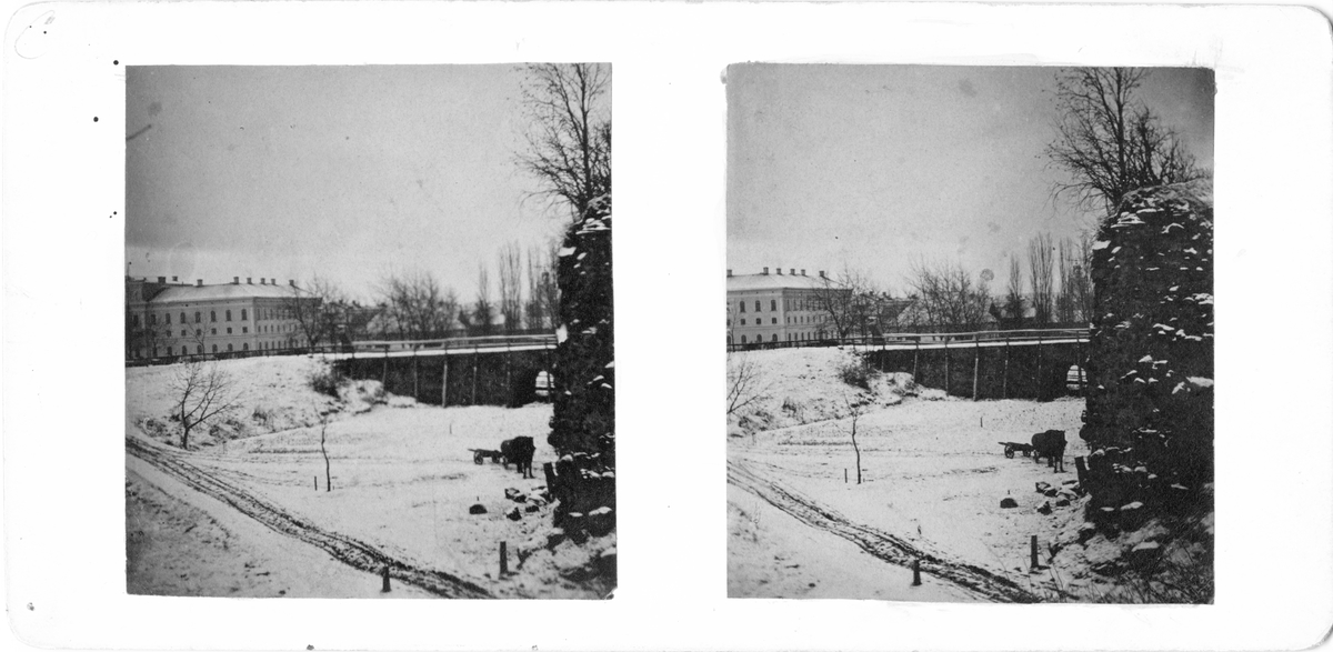 Stora Hotellet ligger till vänster om träden som tillhör "Balders hage". Till höger syns en del av Jönköpings fästning. Häst och vagn tillhör Krönleins bryggeri, som hade en iskällare nere i fästingsvalven.