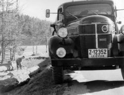 Gutt og Volvo tankbil på Sørlandske Hovedvei 1953