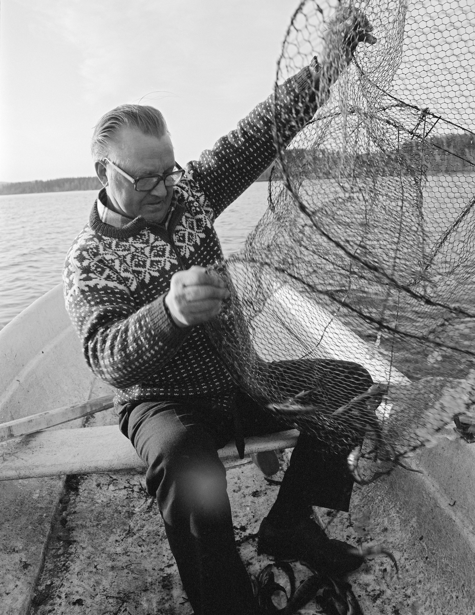 Johan Langbråten (1909-2000) fra Lauvhaugen i Grue i Solør tar opp ei abborruse (teine) fra en robåt på Rotbergsjøen, som ligger på Grue Finnskog. Fangstinnretningen var lagd av hønsenetting og grov ståltråd, og den hadde en «avrundet rektangulær» form. Bildet ble tatt våren 1976.