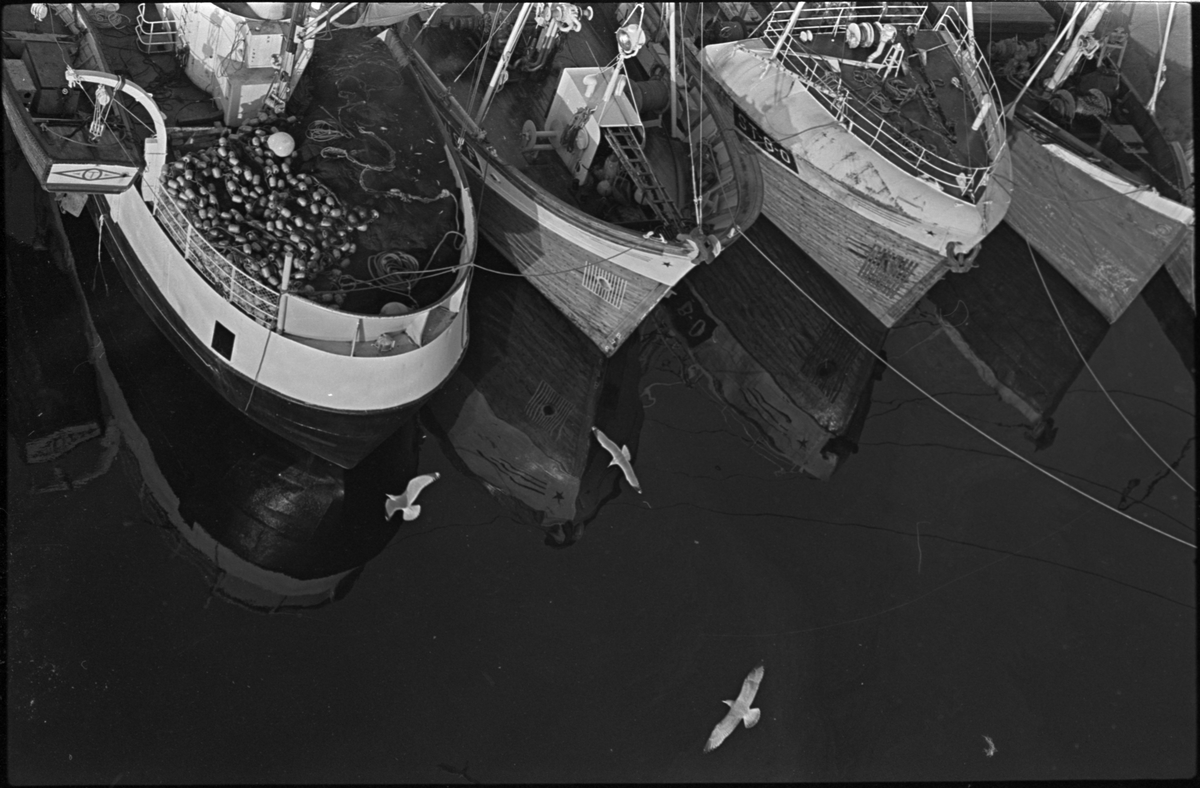 Foto tatt ovenfra av fiskebåter og måker.