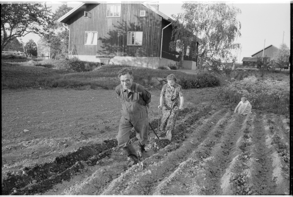 En TGOJ-anställd hemma på sin gård med sin familj vid handplogen. Trafikaktiebolaget Grängesberg-Oxelösund Järnvägar.