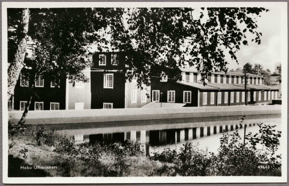 Ullspinneriet i Habo med anor från 1882. Dess dominerande produktion var filttillverkning.