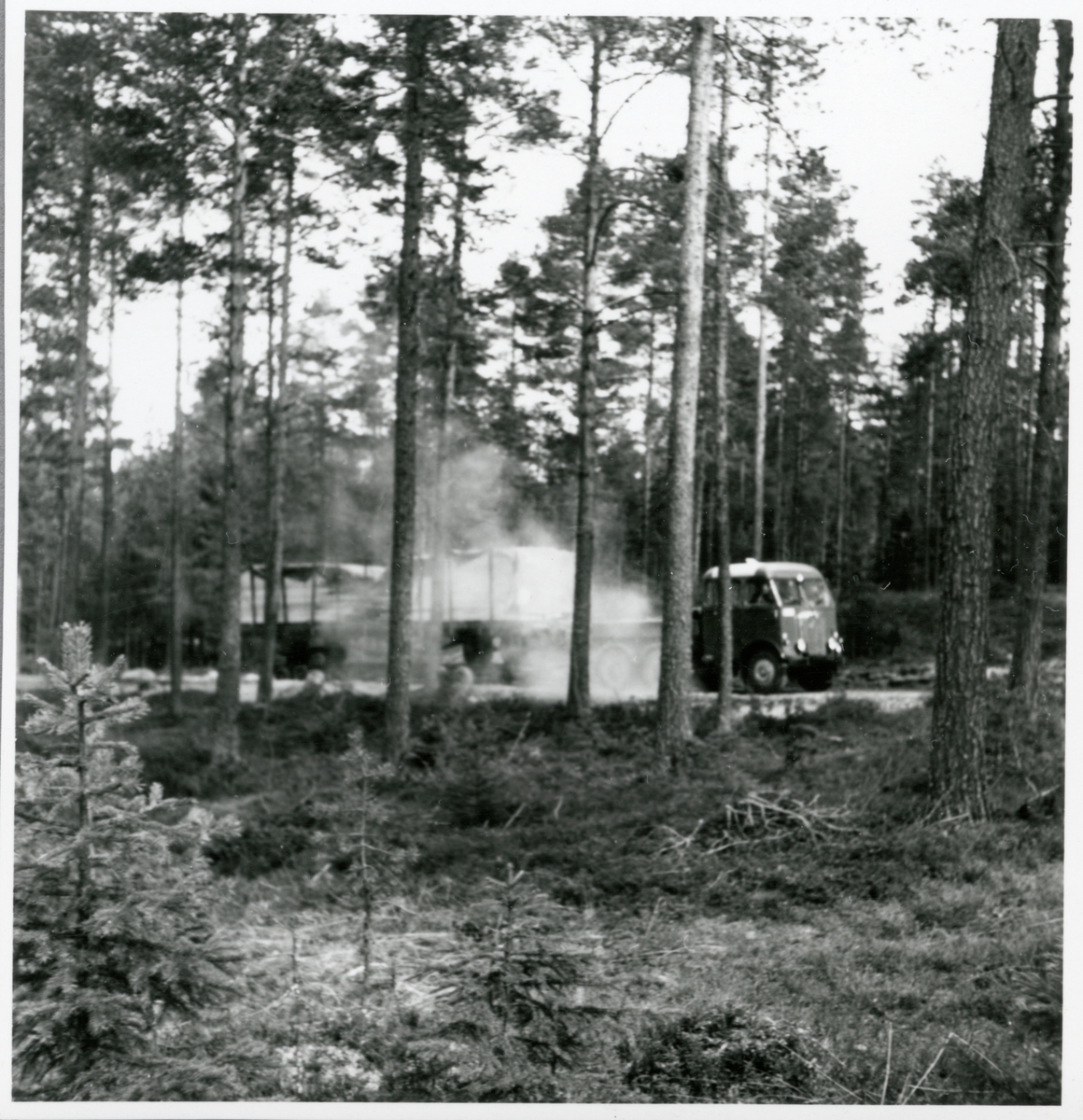 Godsvagn med brädor lastade transporteras med hjälp av vagnbjörn.