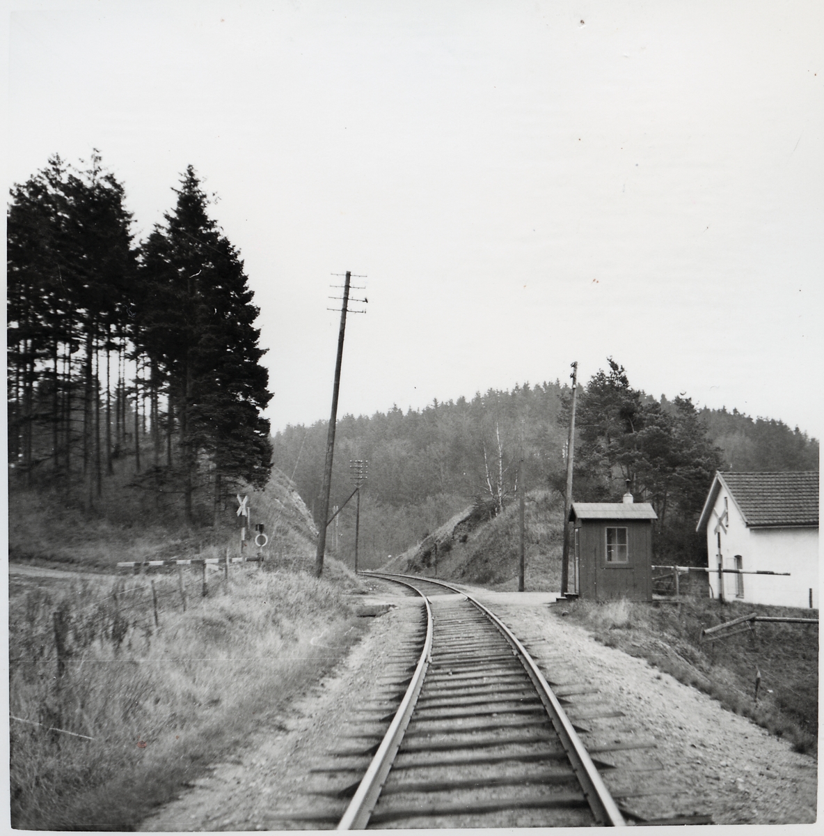 Järnvägsövergång vid Fåglasång, på sträckan mellan Eriksdal och Tomelilla.