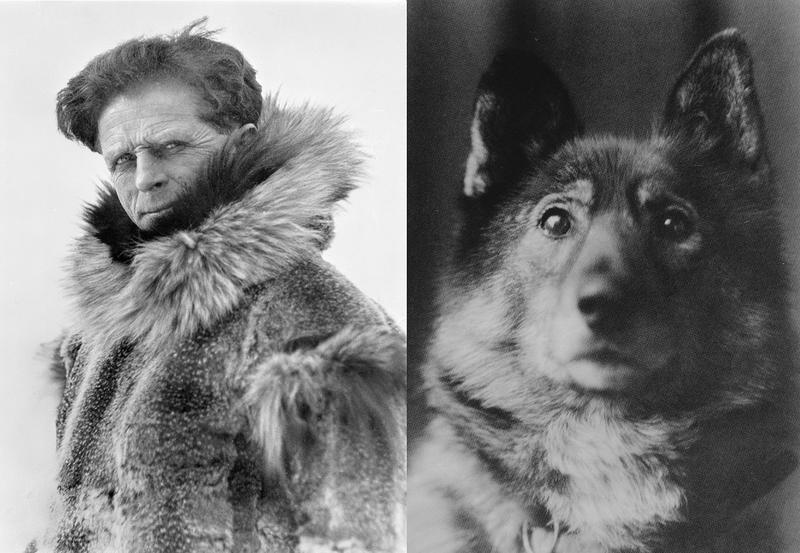 Leonhard Seppala (1877–1967) og hans hund Togo (1916–1929).. Foto/Photo