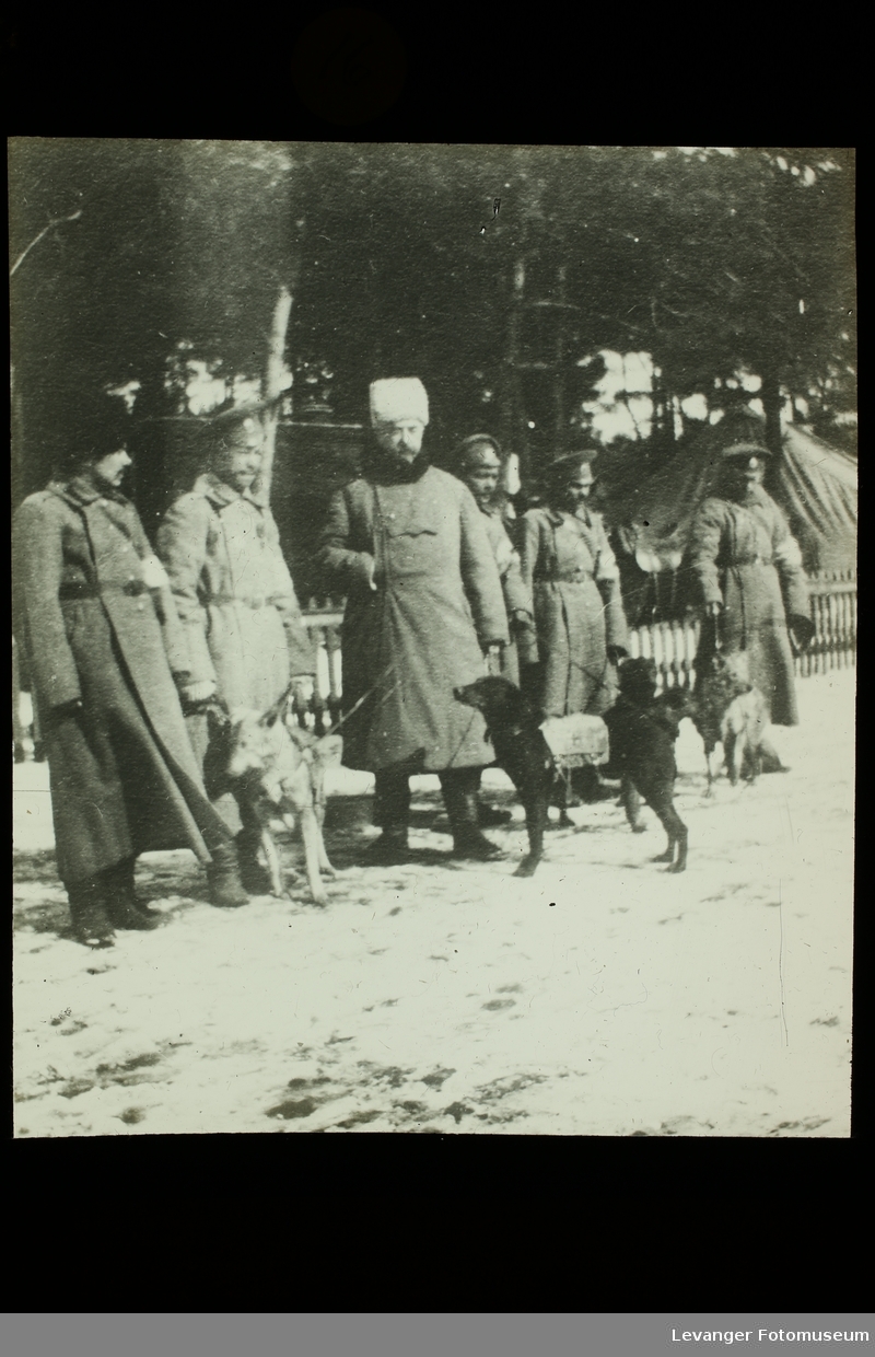 Hunder, tjenestehunder med førere under 1.verdenskrig.