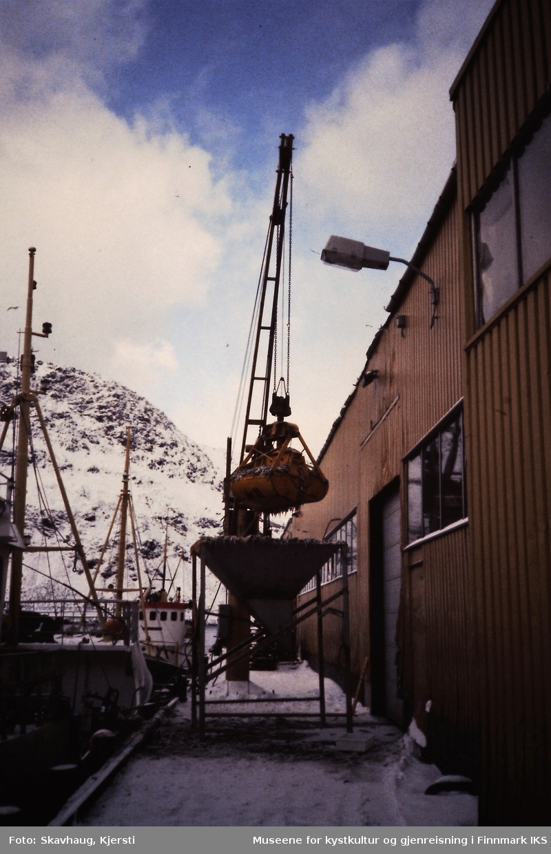Nordvågen. Loddesesong. Lossing av lodde ved E. Lund A/S. Mars 1984.