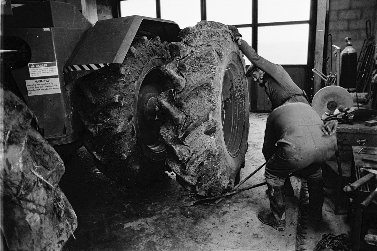 Montering av extrahjul på den stora International Harvester-traktorn, Hacksta gård, Enköpings-Näs socken, Uppland november 1981