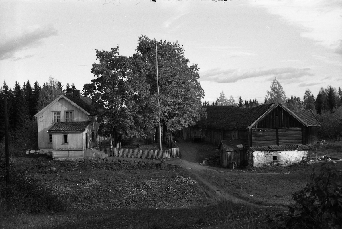 Seks bilder fra gården Gimle på Krabyskogen, Østre Toten, høsten 1955.
