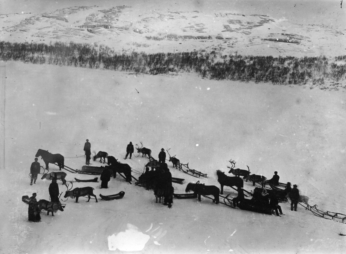 Reinraid og hesteskyss over Førstevannet Kirkenes 12.01.1908.