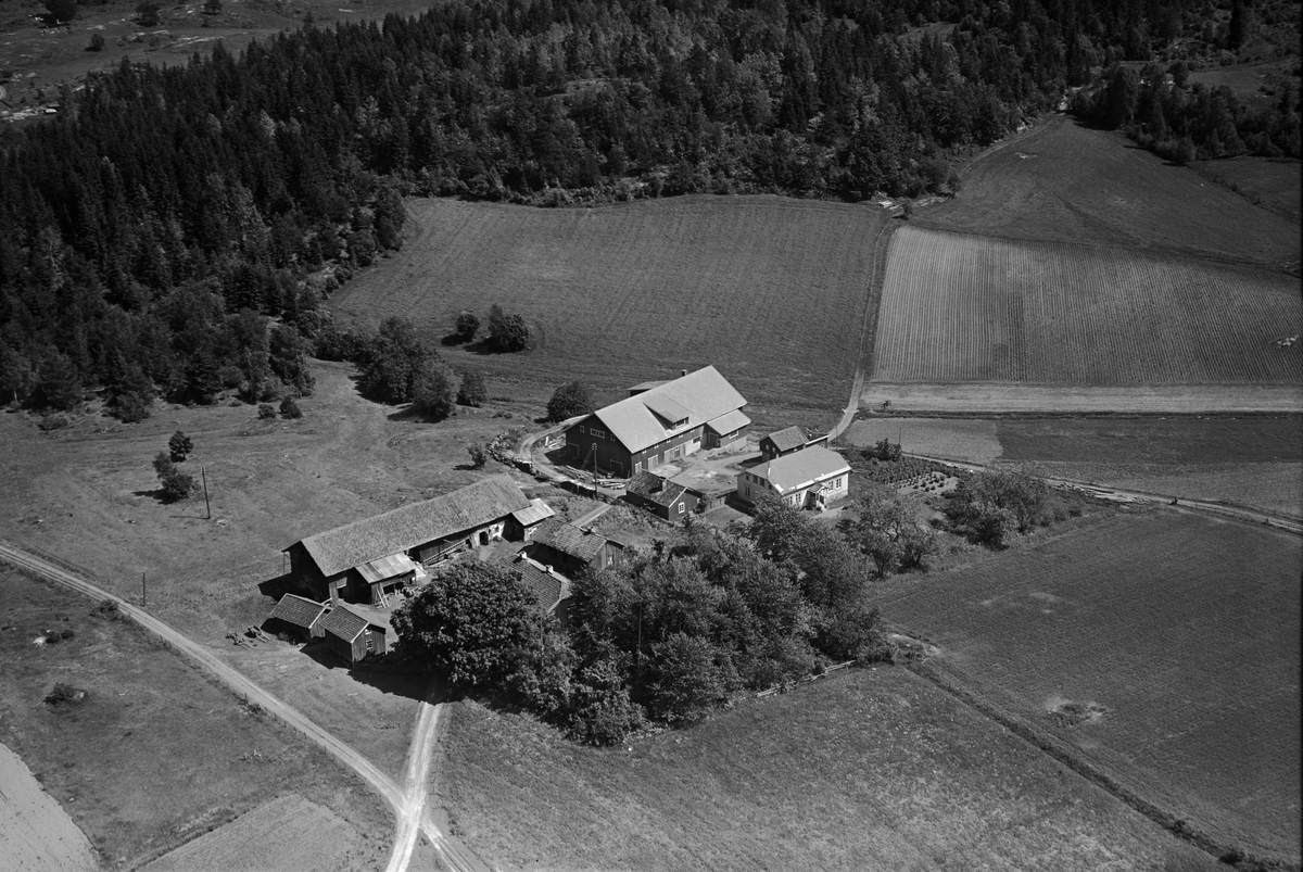 Flyfotoarkiv fra Fjellanger Widerøe AS, fra Porsgrunn Kommune. Kvæstad gård Gnr. 3 Bnr. 3 Bjørkedalen, Eidanger . Fotografert av Vilhelm Skappel, 14.06.1953.